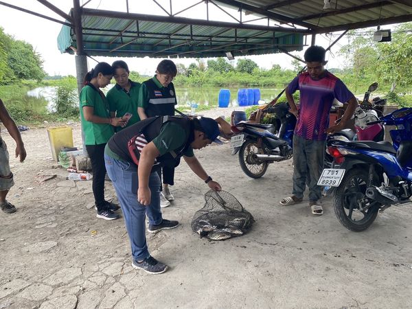สำนักงานประมงพื้นที่กรุงเทพมหานคร ลงพื้นที่ให้บริการแก่เกษตรกร และติดตาม ประชาสัมพันธ์การเฝ้าระวังการแพร่ระบาดของปลาหมอคางดำ