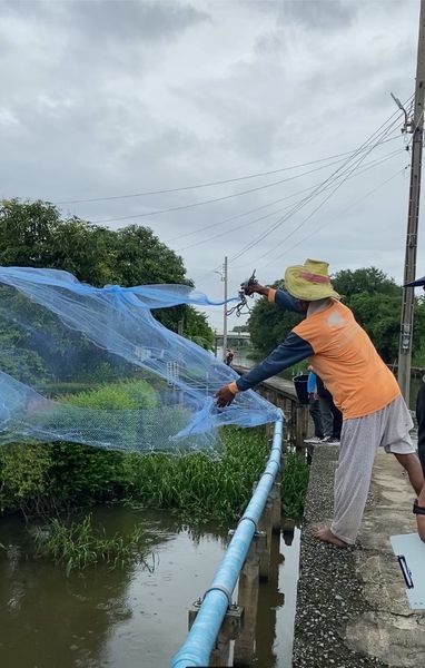 สำนักงานประมงพื้นที่กรุงเทพมหานคร ลงพื้นที่ประชาสัมพันธ์การห้ามทำการประมงในฤดูสัตว์น้ำวางไข่ พร้อมทั้งติดตามและประชาสัมพันธ์การเฝ้าระวังการแพร่ระบาดของปลาหมอคางดำ ในพื้นที่เขตลาดกระบัง กรุงเทพมหานคร