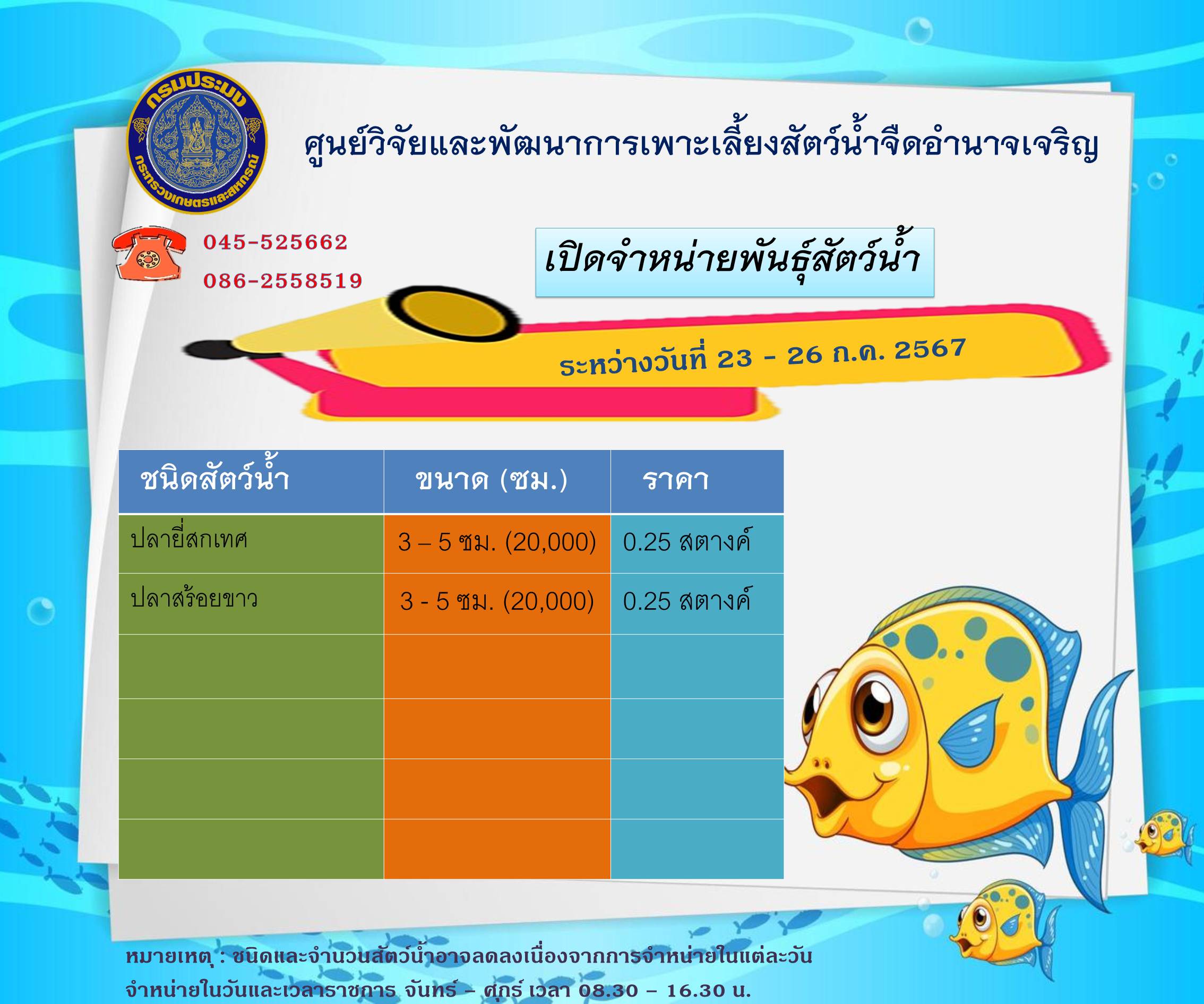 พันธุ์สัตว์น้ำที่จำหน่าย ประจำวันที่ 23-26 ก.ค. 2567 ติดต่อสอบถาม 045-525662,086-2558519