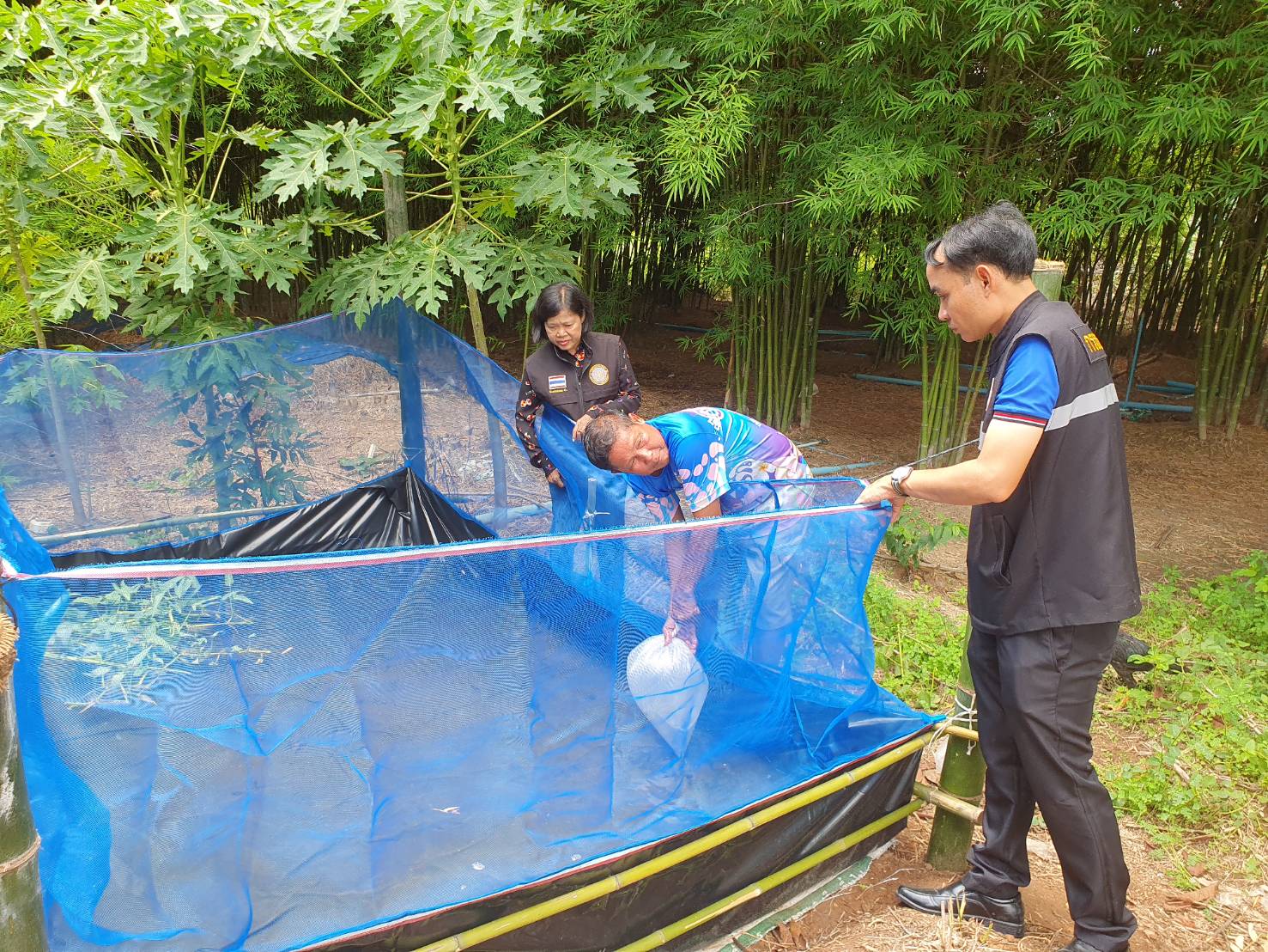 มอบปัจจัยการผลิตได้แก่ ลูกพันธุ์ปลาดุก อาหารปลาดุก ให้แก่เกษตรกร..คลิก