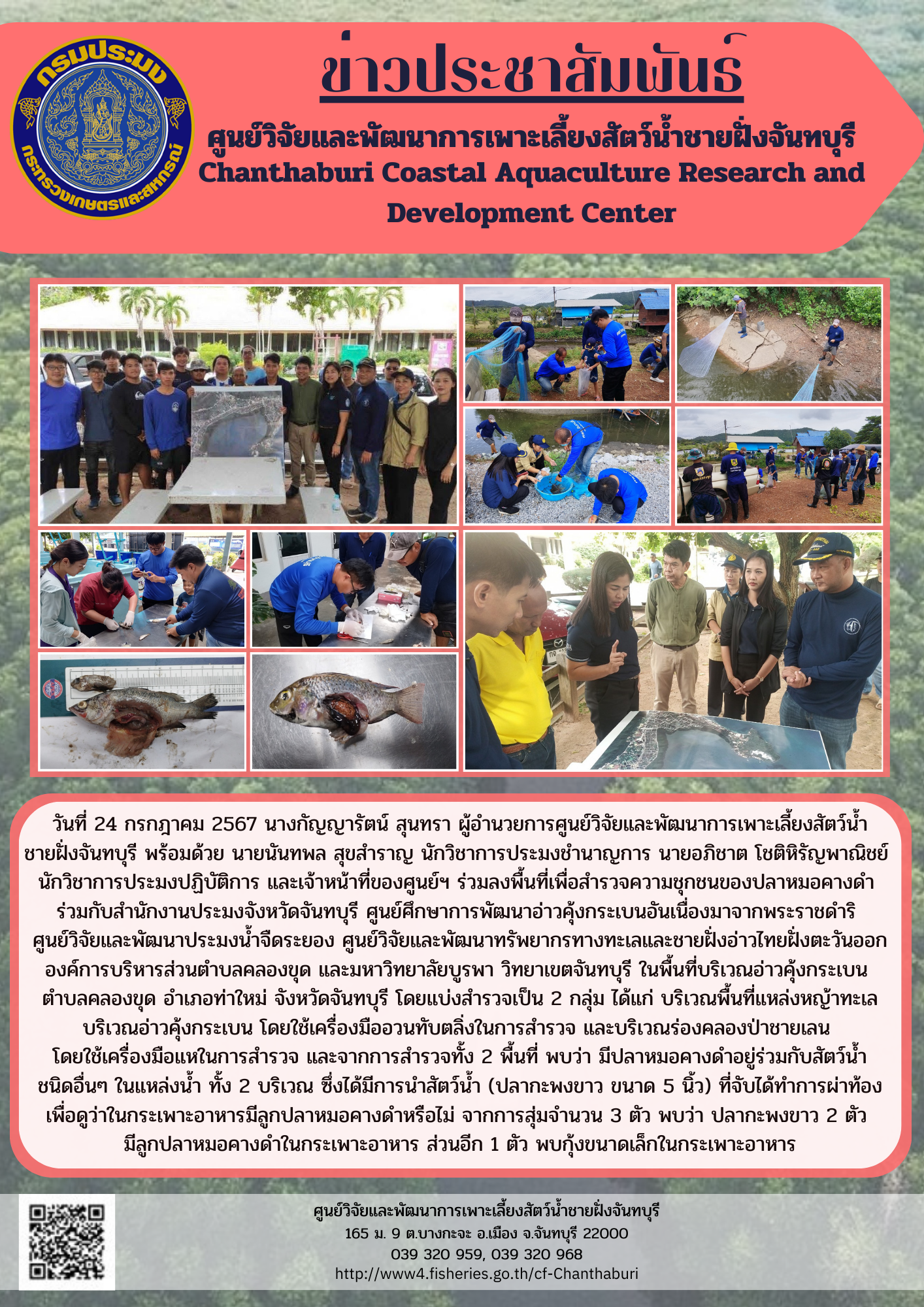 ศูนย์วิจัยและพัฒนาการเพาะเลี้ยงสัตว์น้ำชายฝั่งจันทบุรี ร่วมลงพื้นที่เพื่อสำรวจความชุกชนของปลาหมอคางดำ ในพื้นที่บริเวณอ่าวคุ้งกระเบน ตำบลคลองขุด อำเภอท่าใหม่ จังหวัดจันทบุรี