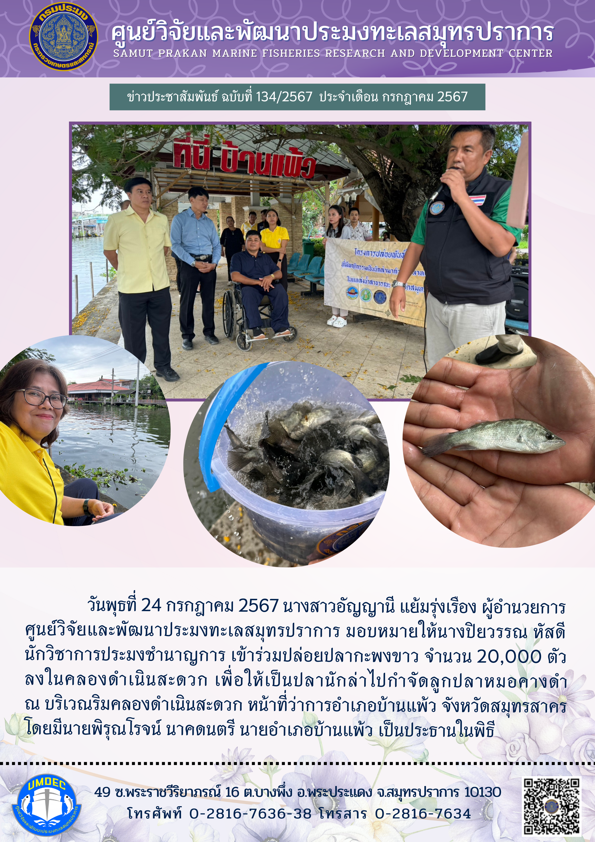 ศูนย์วิจัยและพัฒนาประมงทะเลสมุทรปราการ ข้าร่วมปล่อยปลากะพงขาว..คลิก