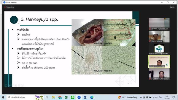 เข้าร่วมการฝึกอบรมหลักสูตร “การป้องกันและควบคุมโรคในสัตว์น้ำจืด”..คลิก