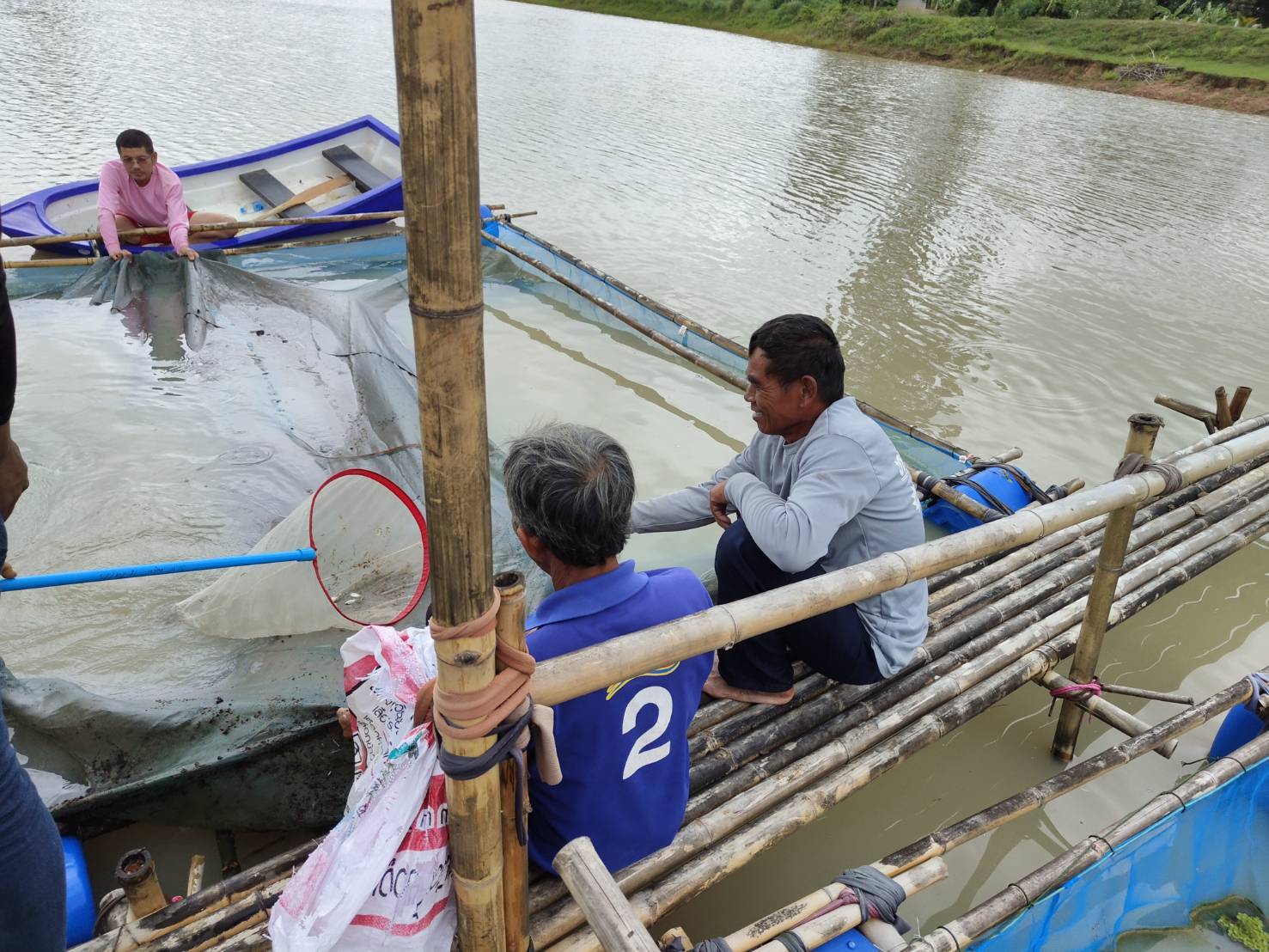 ร่วมประเมินประมาณสัตว์น้ำต่อหน่วยลงแรงประมง (cpue)..คลิก