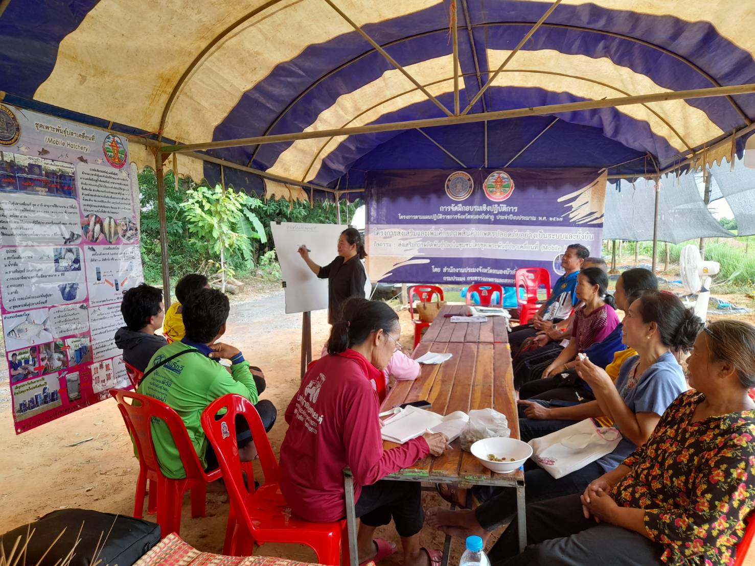 สำนักงานประมงจังหวัดหนองบัวลำภูร่วมกับสำนักงานประมงอำเภอศรีบุญเรืองดำเนินการจัดฝึกอบรมเชิงปฎิบัติการ กิจกรรมส่งเสริมการผลิตพันธุ์ปลาในชุมชนโดยชุดเพาะพันธุ์ปลาเคลื่อนที่ (Mobile Hatchery)..คลิก