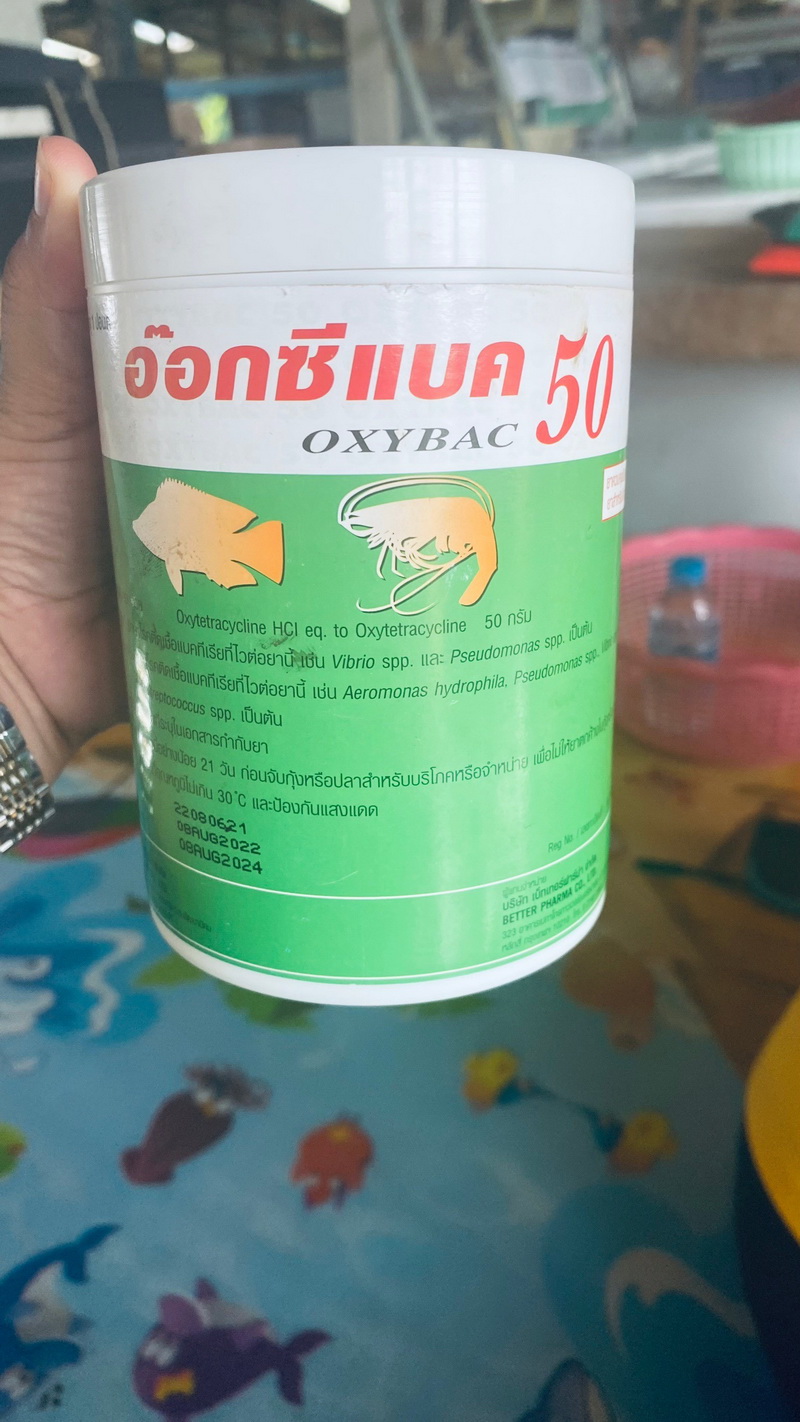 ตรวจประเมินฟาร์มเพาะเลี้ยงสัตว์น้ำ ของเกษตรกรอำเภอป่าบอน จังหวัดพัทลุง..คลิก