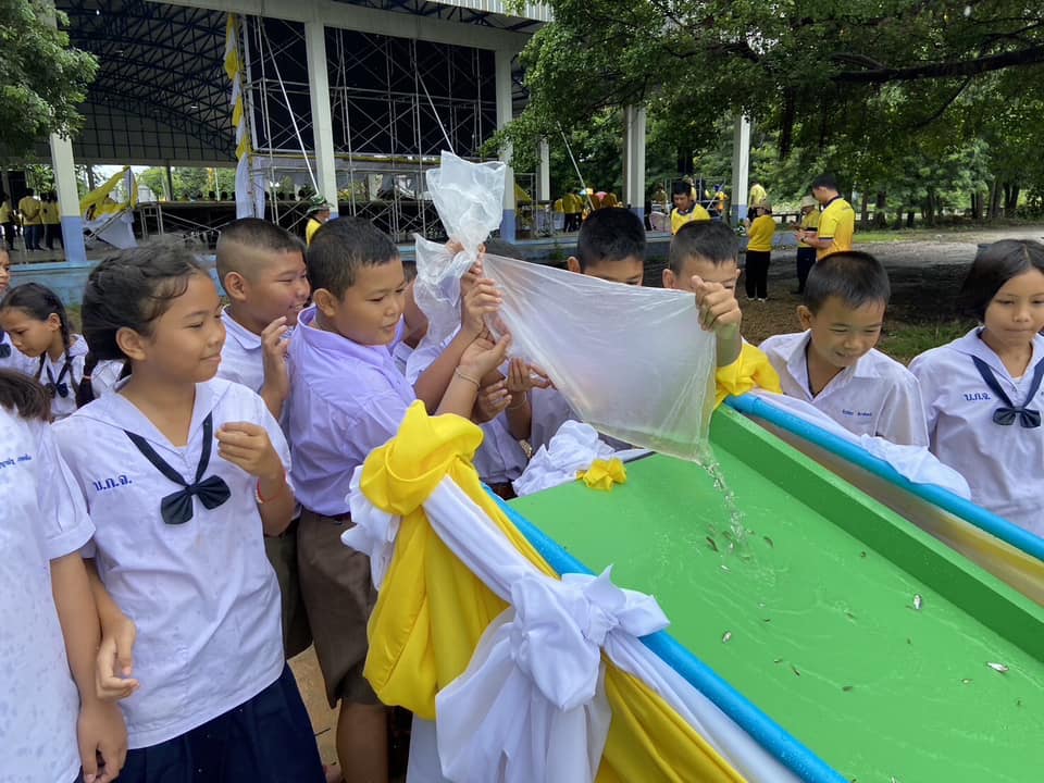 จัดกิจกรรมปล่อยพันธุ์สัตว์น้ำ บริเวณบึงกระจับ..คลิก