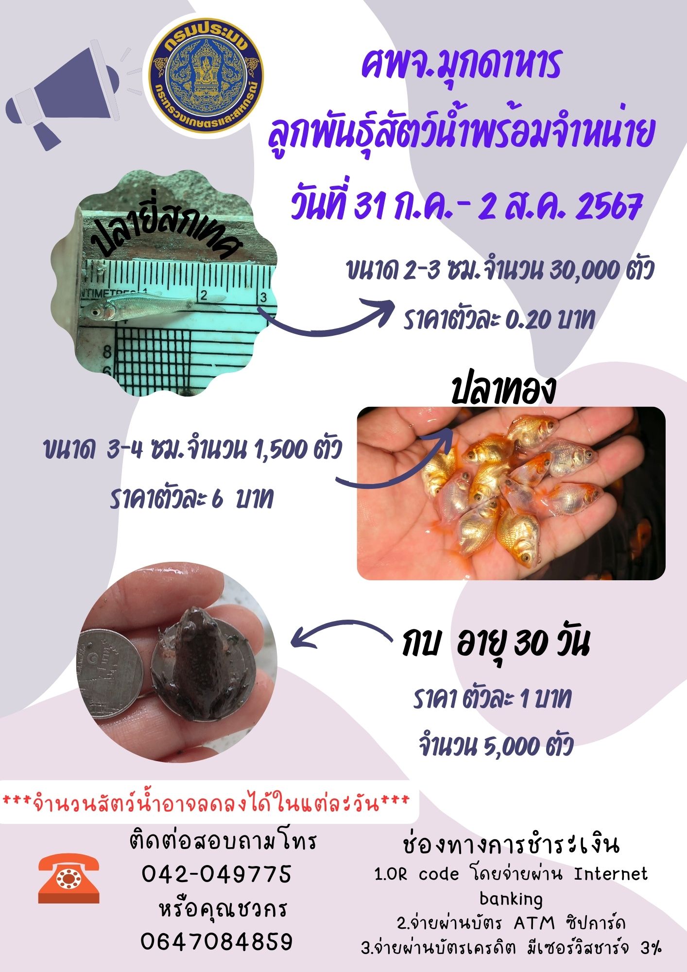 ลูกพันธุ์สัตว์น้ำพร้อมจำหน่าย 31 กรกฎาคม- มกราคม 2567..คลิก