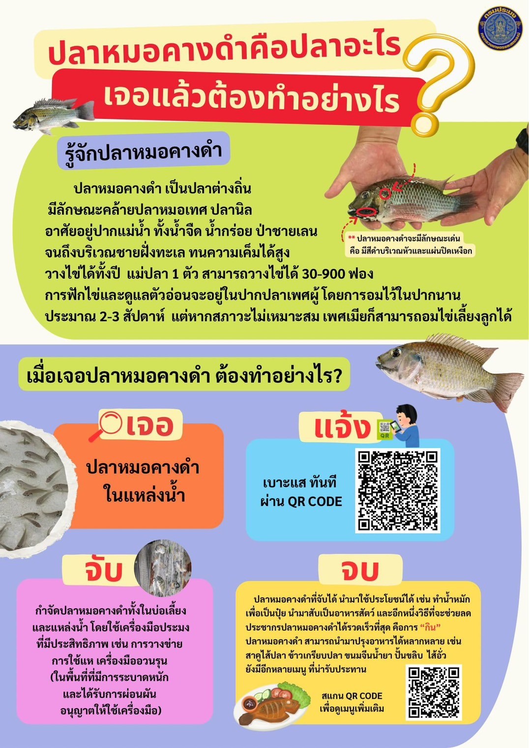 ปลาหมอคางดำ เจอแล้วต้องทำอย่างไร