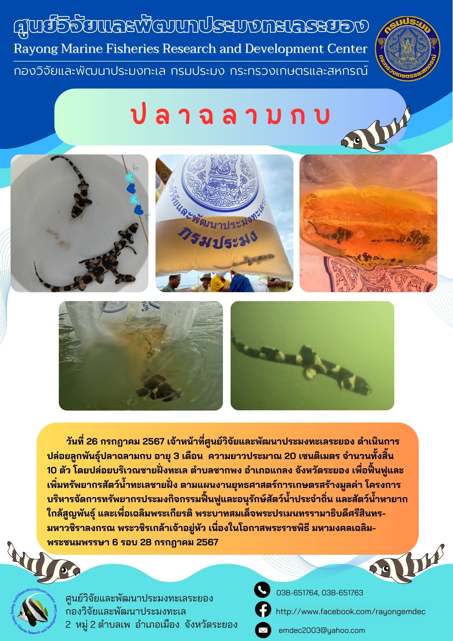 กิจกรรมปล่อยพันธุ์สัตว์น้ำเฉลิมพระเกียรติ