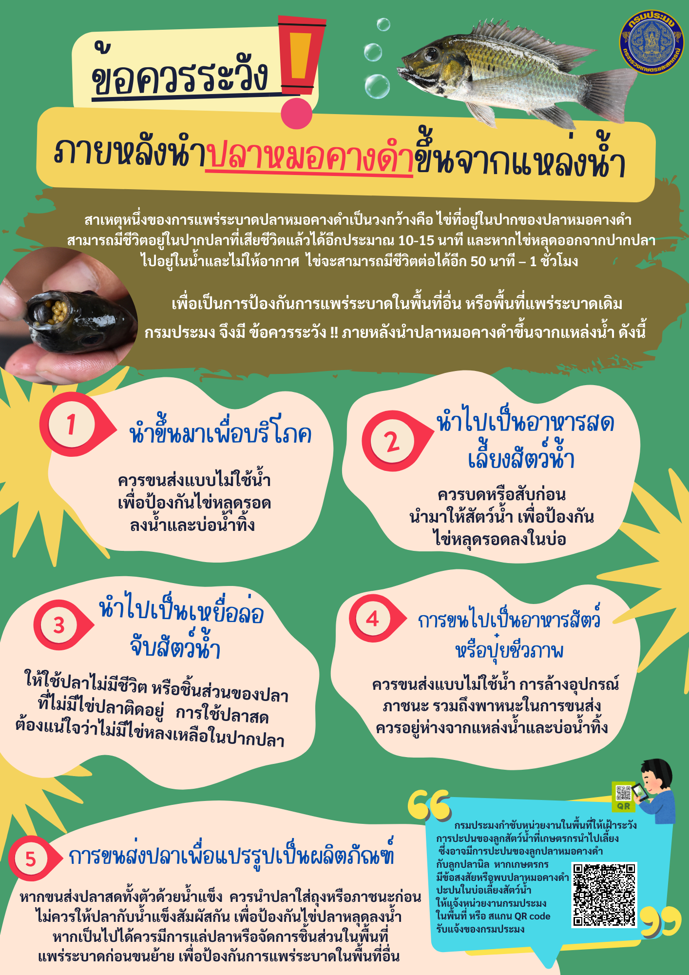 ข้อควรระวัง ภายหลังนำปลาหมอคางดำขึ้นจากแหล่งน้ำ..คลิก