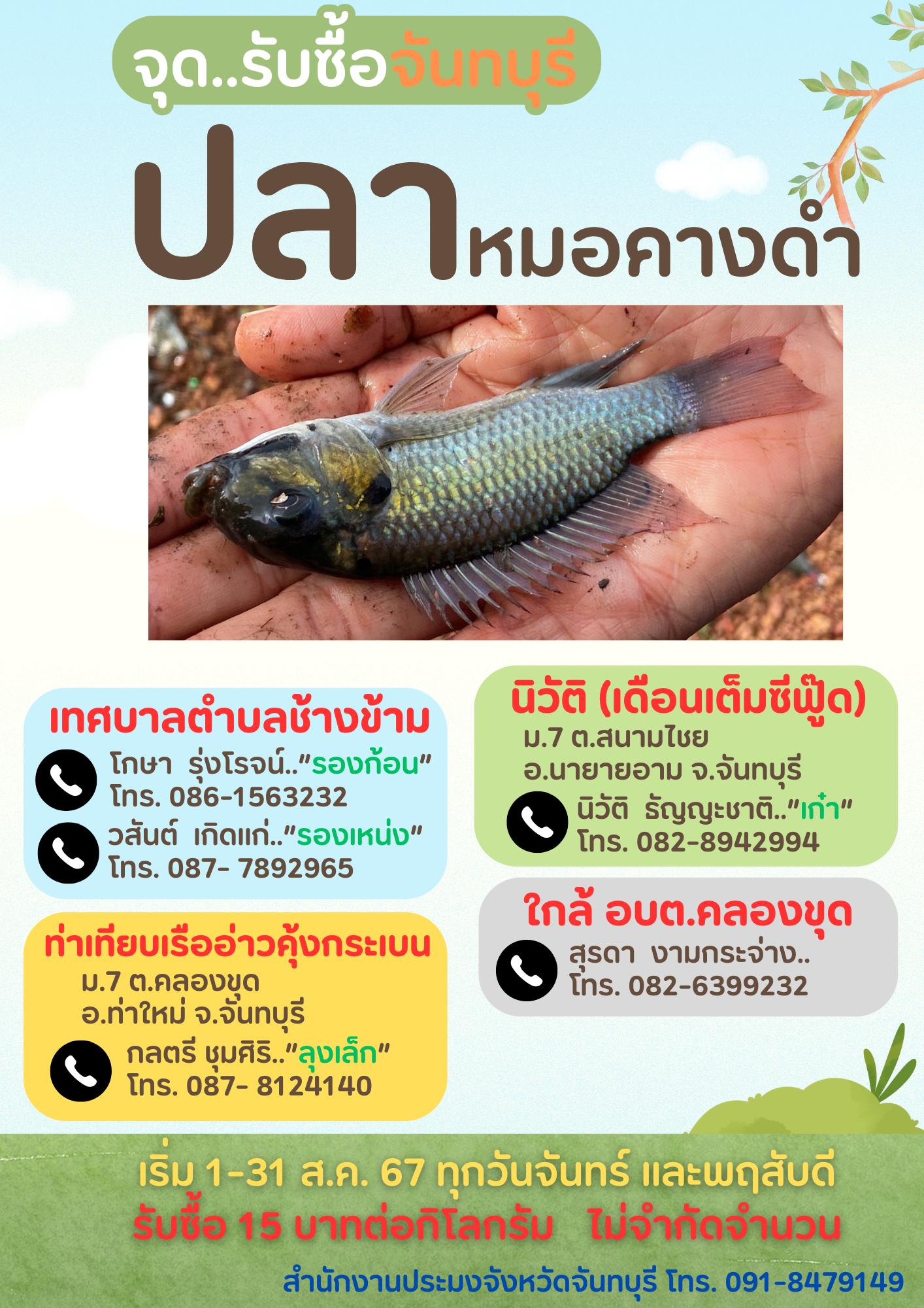 จุดรับซื้อ ปลาหมอคางดำ จังหวัดจันทบุรี  >>> เริ่ม 1-31 ส.ค.2567 ทุกวันจันทร์ และพฤหัสบดี
