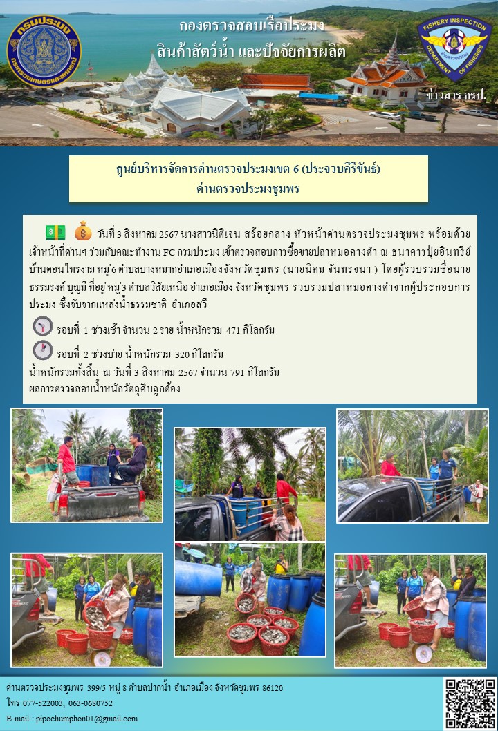 หัวหน้าด่านตรวจประมงชุมพร พร้อมด้วยเจ้าหน้าที่ด่านฯ ร่วมกับคณะทำงาน FC กรมประมง เข้าตรวจสอบการซื้อขายปลาหมอคางดำ ณ ธนาคารปุ๋ยอินทรีย์บ้านดอนไทรงาม หมู่ 6 ตำบลบางหมากอำเภอเมืองจังหวัดชุมพร..คลิก