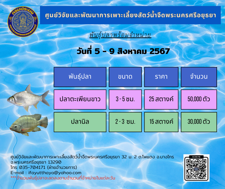 ชนิดพันธ์ุสัตว์น้ำพร้อมจำหน่าย  5 - 9 สิงหาคม 2567 ศพจ.พระนครศรีอยุธยา..คลิก