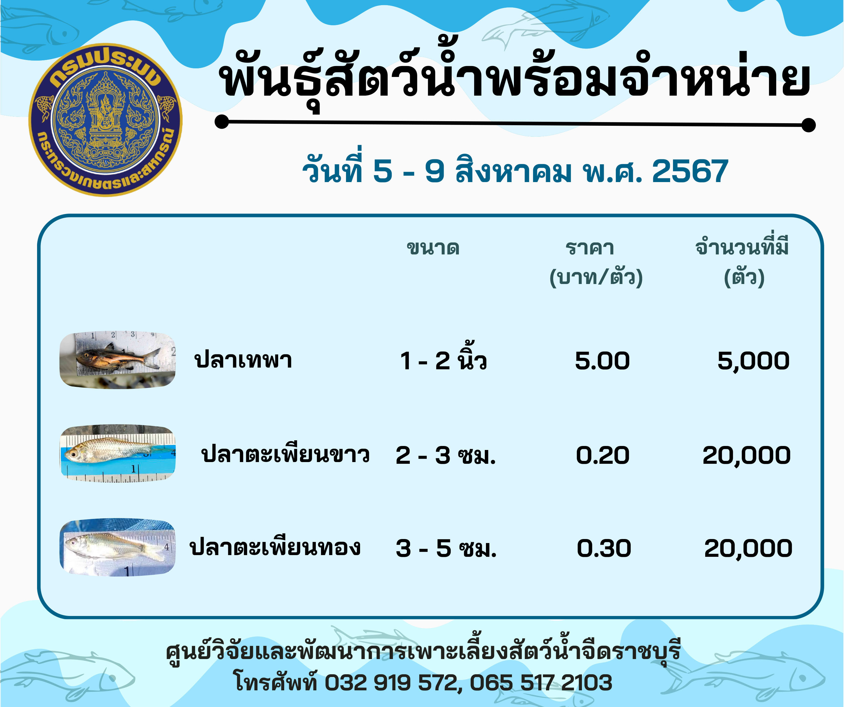 ลูกพันธุ์สัตว์น้ำพร้อมจำหน่ายสัปดาห์นี้ วันที่ 5 - 9 สิงหาคม พ.ศ. 2567..คลิก
