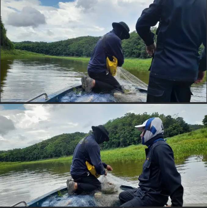 ออกปฏิบัติงานควบคุมและปราบปรามในช่วงฤดูปลาน้ำจืดววางไข่ ประจำเดือน กรกฎาคม 2567..คลิก