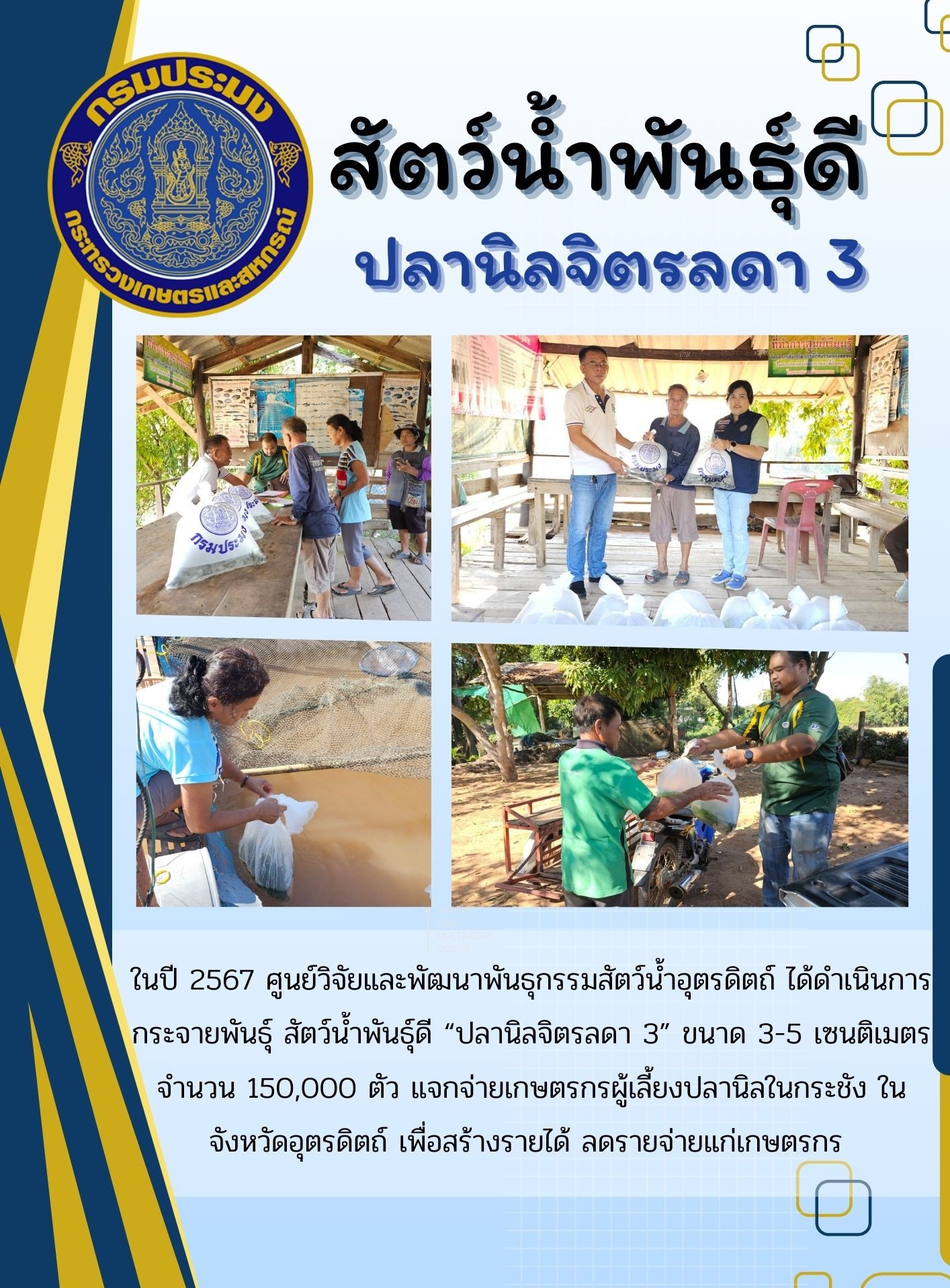 สัตว์น้ำพันธุ์ดี ปลานิลจิตรลดา 3