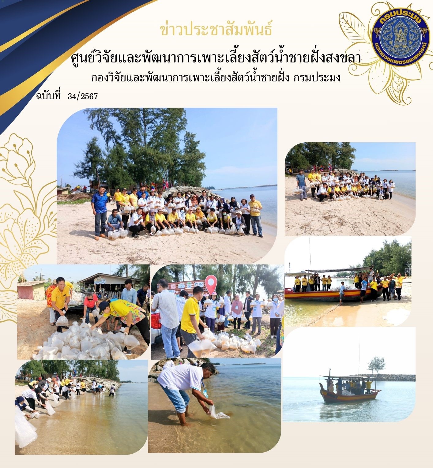 เมื่อวันที่ 1 สิงหาคม 2567 นางสาวปริศนา คลิ้งสุขคล้าย ผู้อำนวยการศูนย์วิจัยและพัฒนาการเพาะเลี้ยงสัตว์น้ำชายฝั่งสงขลา มอบหมายให้นายธีระยุทธ์ สวัสดี เจ้าพนักงานประมงชำนาญงาน พร้อมด้วยเจ้าหน้าที่ของศูนย์ฯ ส่งมอบพันธุ์กุ้งแชบ๊วย ให้แก่สำนักงานประมงจังหวัดสงขลา..คลิก