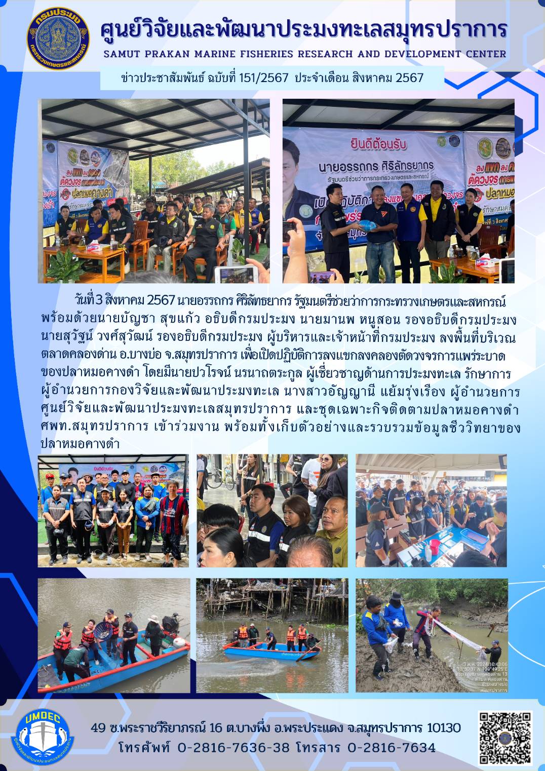 กรมประมงเปิดปฏิบัติการลงแขกลงคลองตัดวงจรการแพร่ระบาดของปลาหมอคางดำ จังหวัดสมุทรปราการ..คลิก