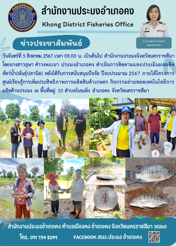 ประมงอำเภอคง ดำเนินการติดตามและประเมินผลผลิตสัตว์น้ำ (พันธุ์ปลานิล) หลังได้รับการสนับสนุนปัจจัย ปีงบประมาณ 2567 ภายใต้โครงการศูนย์เรียนรู้การเพิ่มประสิทธิภาพการผลิตสินค้าเกษตร กิจกรรมถ่ายทอดเทคโนโลยีการผลิตด้านประมง ณ พื้นที่หมู่ 10 ตำบลโมนเต็ง อำเภอคง..คลิก