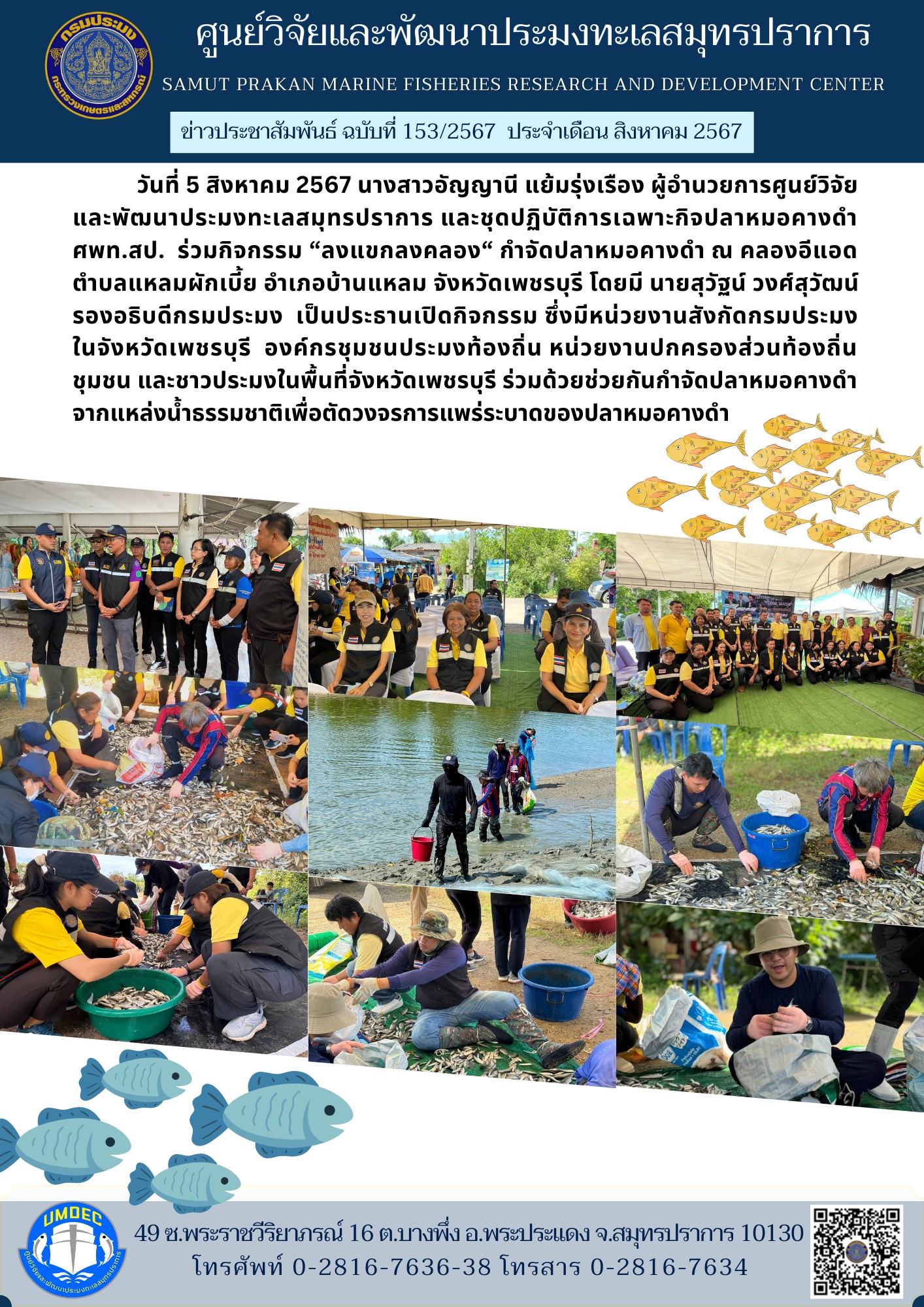 ชุดปฏิบัติการเฉพาะกิจปลาหมอคางดำ ศพท.สมุทรปราการ ร่วมกิจกรรม “ลงแขกลงคลอง“ กำจัดปลาหมอคางดำ ณ คลองอีแอด จังหวัดเพชรบุรี..คลิก