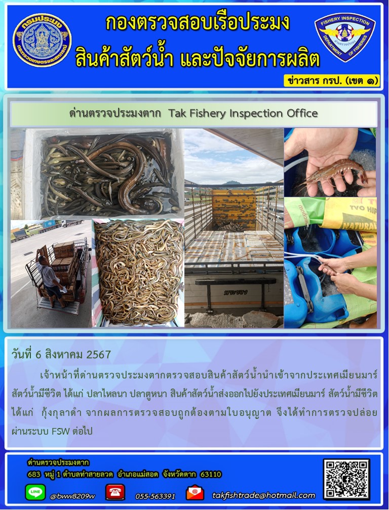 วันที่ 6 สิงหาคม 2567           เจ้าหน้าที่ด่านตรวจประมงตากตรวจสอบสินค้าสัตว์น้ำนำเข้าจากประเทศเมียนมาร์ สัตว์น้ำมีชีวิต ได้แก่ ปลาไหลนา ปลาตูหนา สินค้าสัตว์น้ำส่งออกไปยังประเทศเมียนมาร์ สัตว์น้ำมีชีวิต ได้แก่  กุ้งกุลาดำ จากผลการตรวจสอบถูกต้องตามใบอนุญาต จึงได้ทำการตรวจปล่อยผ่านระบบ FSW ต่อไป..คลิก