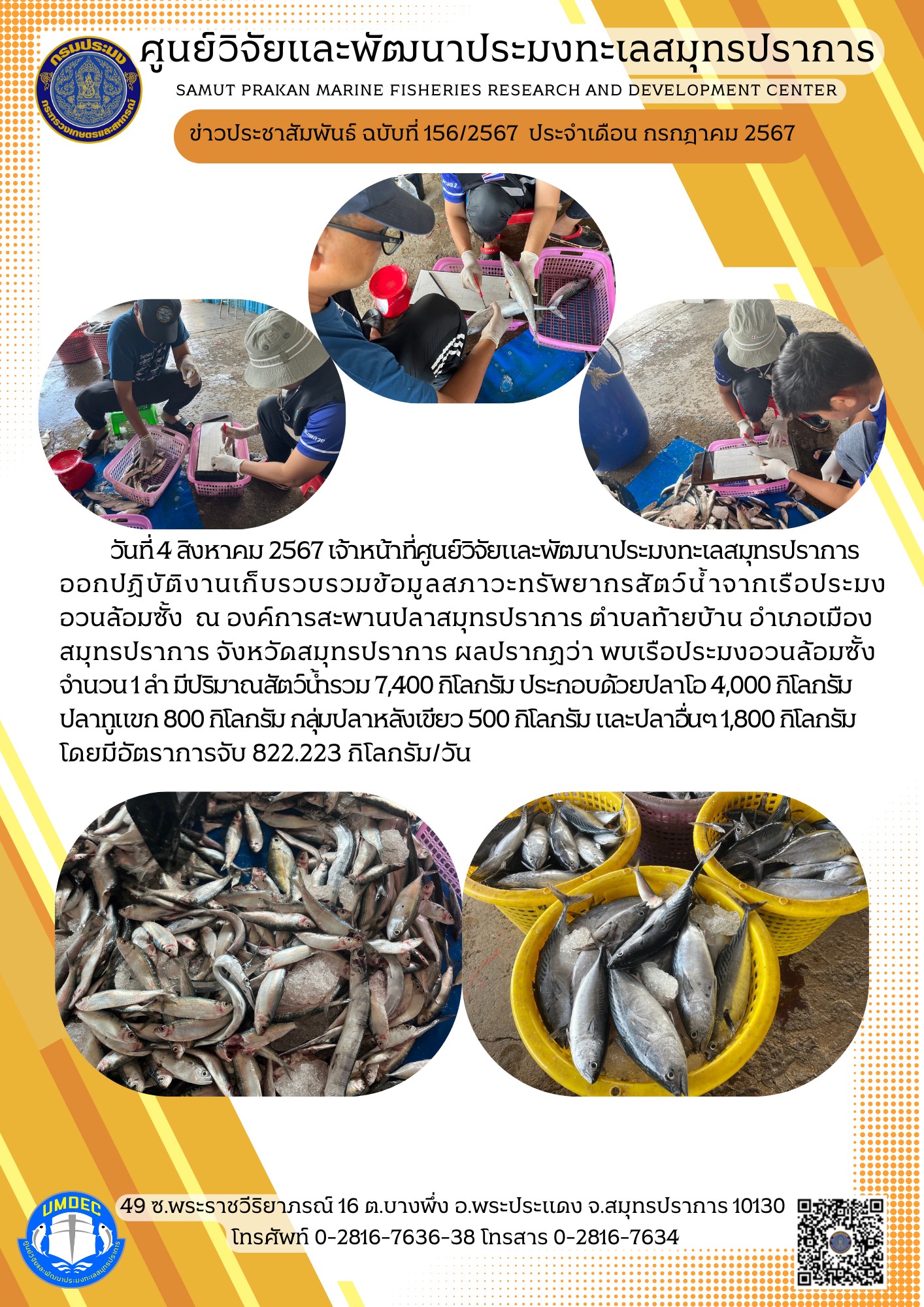 เจ้าหน้าที่ศูนย์วิจัยและพัฒนาประมงทะเลสมุทรปราการ ออกปฏิบัติงานเก็บรวบรวมข้อมูลสภาวะทรัพยากรสัตว์น้ำจากเรือประมงอวนล้อมซั้ง..คลิก