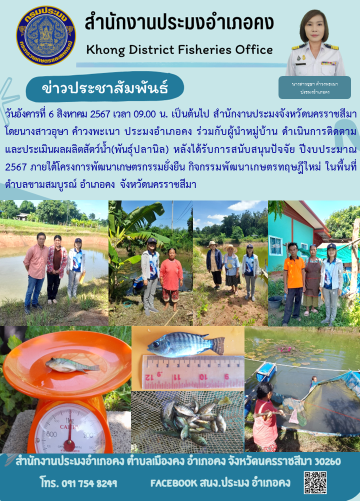 วันอังคารที่ 6 สิงหาคม 2567 ประมงอำเภอคง ร่วมกับผู้นำหมู่บ้าน ดำเนินการติดตามและประเมินผลผลิตสัตว์น้ำ (พันธุ์ปลานิล) หลังได้รับการสนับสนุนปัจจัย ปีงบประมาณ 2567 ภายใต้โครงการพัฒนาเกษตรกรรมยั่งยืนกิจกรรมพัฒนาเกษตรทฤษฎีใหม่ ในพื้นพื้นที่ตำบลขามสมบูรณ์ อำเภอคง..คลิก