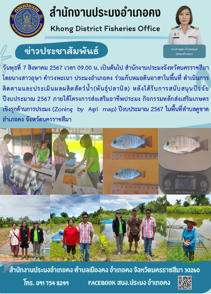 วันพุธที่ 7 สิงหาคม 2567 ประมงอำเภอคง ร่วมกับหมอดินอาสาในพื้นที่ดำเนินการติดตามและประเมินผลผลิตสัตว์น้ำ (พันธุ์ปลานิล) หลังได้รับการสนับสนุนปัจจัยภายใต้โครงการส่งเสริมอาชีพประมงกิจกรรมหลักส่งเสริมเกษตร เชิงรุกด้านการประมง (Zoning by Agri map) ปึงบประมาณ 2567 ในพื้นที่ตำบลคูขาด อำเภอคง..คลิก