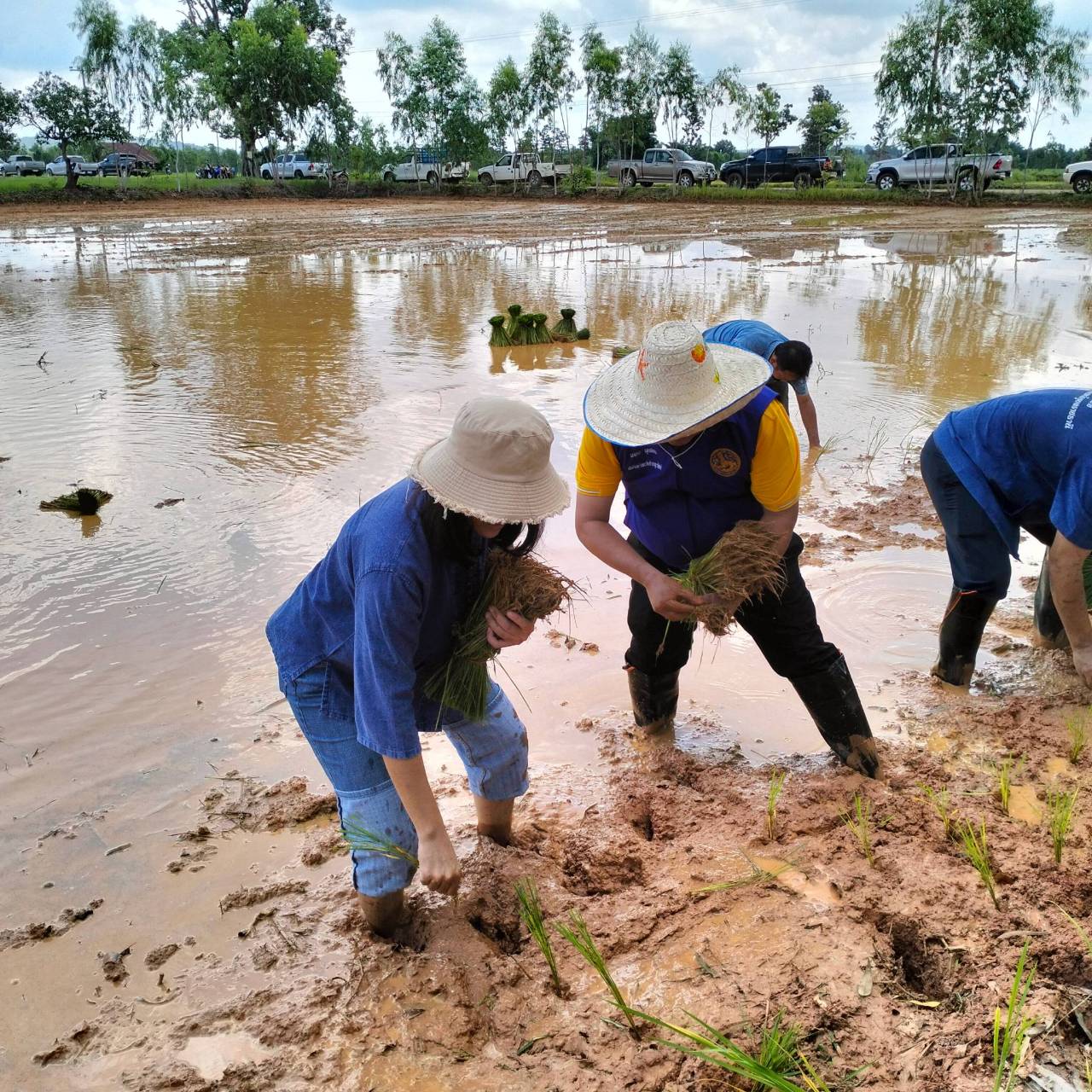 ประมงอำเภอศรีเมืองใหม่ จังหวัดอุบลราชธานี ร่วมกิจกรรม 