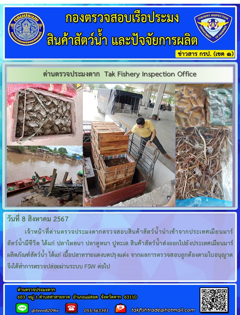 วันที่ 8 สิงหาคม 2567           เจ้าหน้าที่ด่านตรวจประมงตากตรวจสอบสินค้าสัตว์น้ำนำเข้าจากประเทศเมียนมาร์ สัตว์น้ำมีชีวิต ได้แก่ ปลาไหลนา ปลาตูหนา ปูทะเล สินค้าสัตว์น้ำส่งออกไปยังประเทศเมียนมาร์ ผลิตภัณฑ์สัตว์น้ำ ได้แก่ เนื้อปลาทรายแดงบดปรุงแต่ง จากผลการตรวจสอบถูกต้องตามใบอนุญาต จึงได้ทำการตรวจปล่อยผ่านระบบ FSW ต่อไป..คลิก