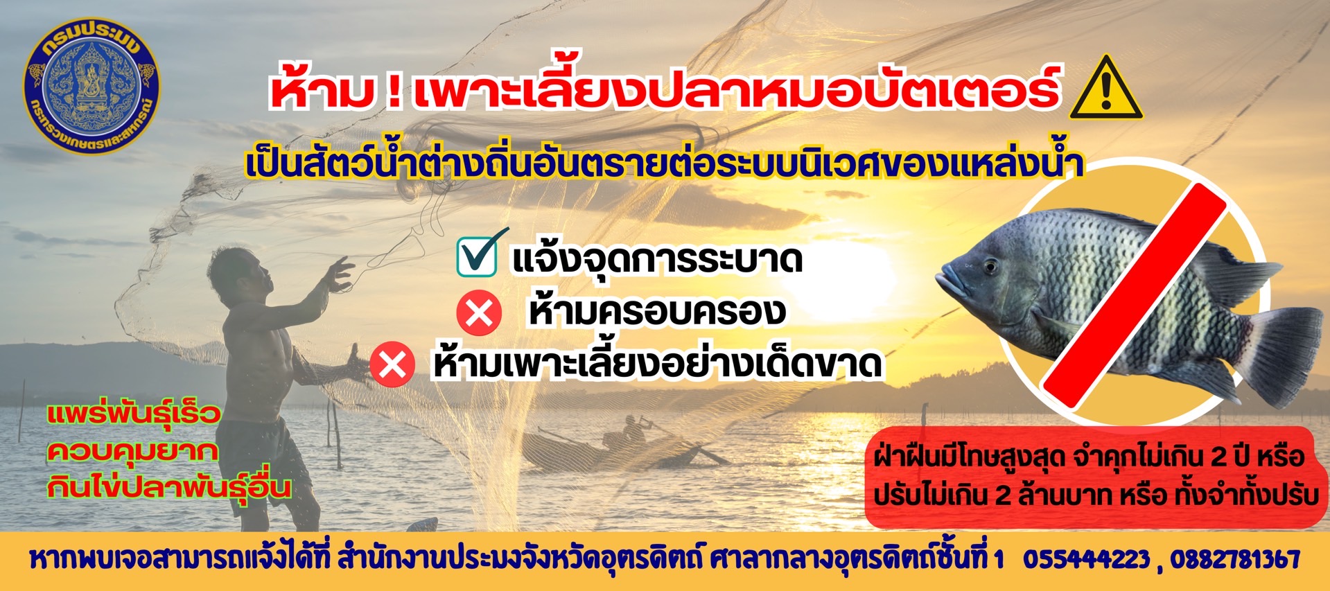 ห้ามเพาะเลี้ยงปลาหมอบัตเตอร์