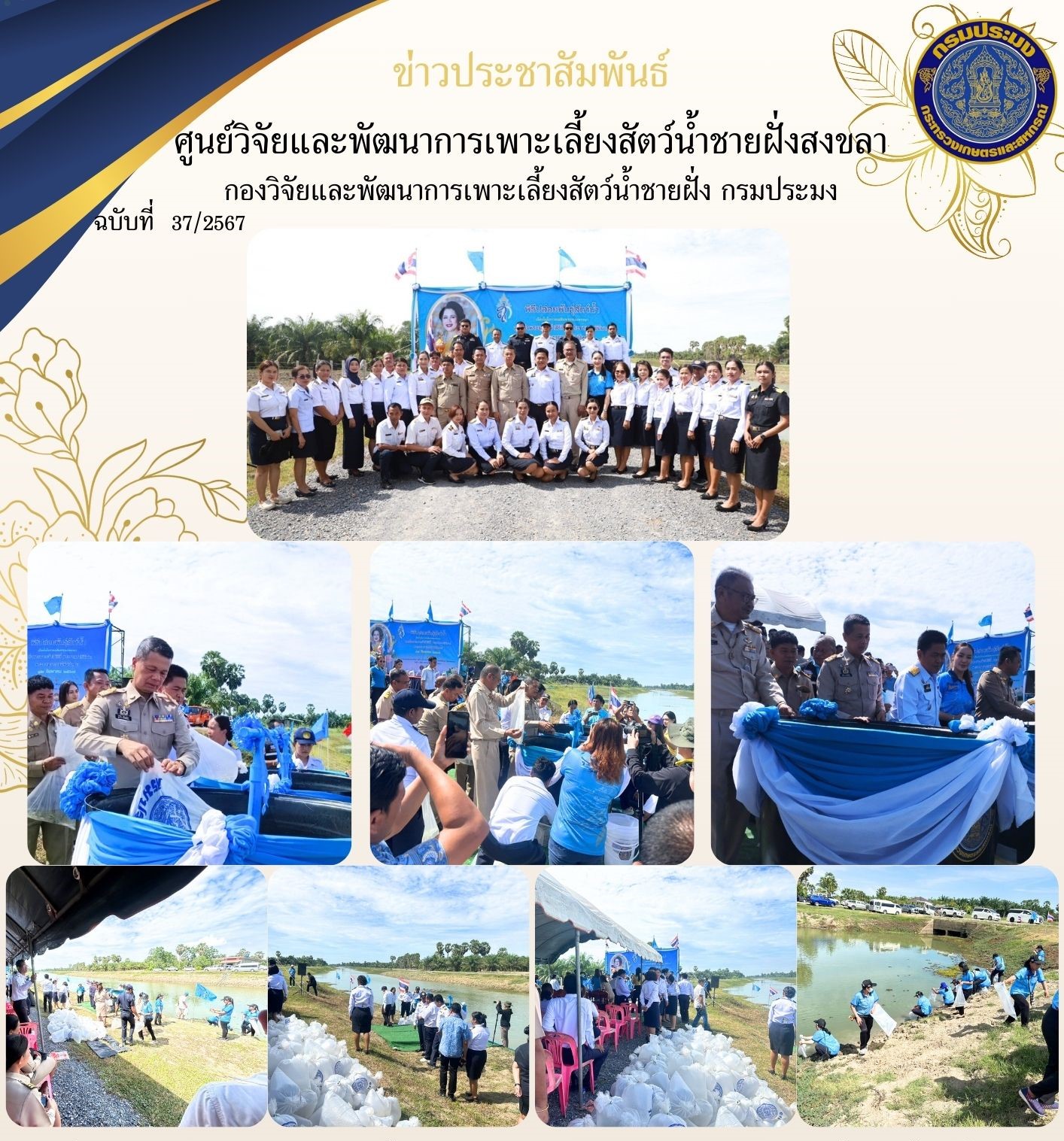 เมื่อวันที่ 8 สิงหาคม 2567 นางสาวปริศนา คลิ้งสุขคล้าย ผู้อำนวยการศูนย์วิจัยและพัฒนาการเพาะเลี้ยงสัตว์น้ำชายฝั่งสงขลา มอบหมายให้นายอุกฤษฏ์ ชูสุวรรณ นักวิชาการประมงปฏิบัติการ และเจ้าหน้าที่ของศูนย์ฯ   เข้าร่วมพิธีปล่อยพันธุ์สัตว์น้ำ เนื่องในวันเฉลิมพระชนมพรรษาสมเด็จพระนางเจ้าสิริกิติ์ พระบรมราชินีนาถ พระบรมราชชนนีพันปีหลวง 12 สิงหาคม 2567..คลิก