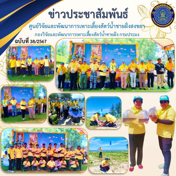  เมื่อวันที่ 8 สิงหาคม 2567 นางสาวปริศนา คลิ้งสุขคล้าย ผู้อำนวยการศูนย์วิจัยและพัฒนาการเพาะเลี้ยงสัตว์น้ำชายฝั่งสงขลา มอบหมายให้นางสุกัญญา  เจริญศรี เจ้าพนักงานประมงชำนาญงาน พร้อมด้วยเจ้าหน้าที่ของศูนย์ฯ เข้าร่วมกิจกรรม  “อนุรักษ์และพัฒนาสภาพแวดล้อมทางทะเลและชายฝั่ง เนื่องในโอกาสวันเฉลิมพระชนมพรรษาสมเด็จพระนางเจ้าสิริกิติ์  พระบรมราชินีนาถ  พระบรมราชชนนีพันปีหลวง 12 สิงหาคม 2567”..คลิก