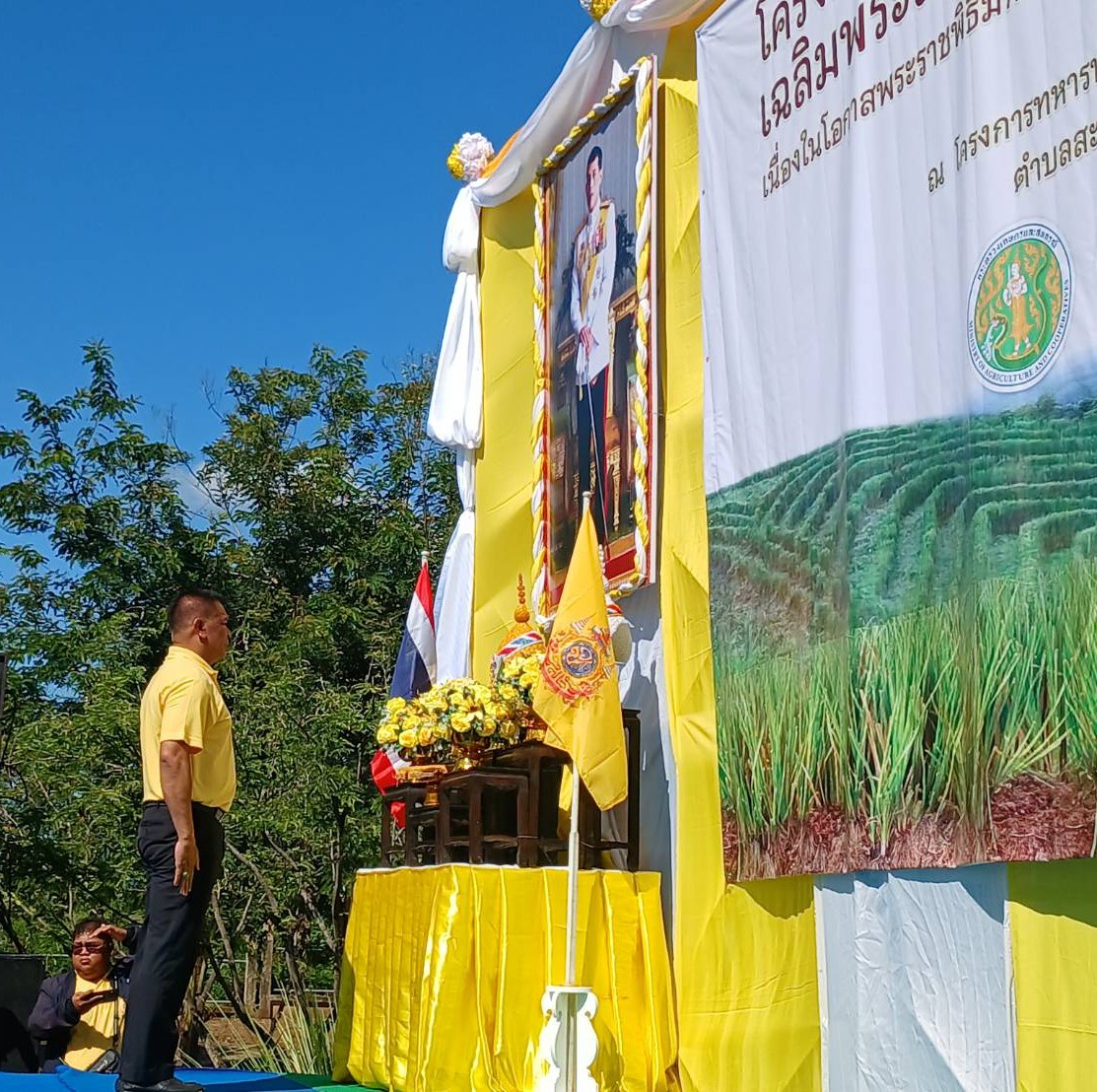 รณรงค์และส่งเสริมการปลูกหญ้าแฝก เฉลิมพระเกียรติพระบาทสมเด็จพระเจ้าอยู่หัว