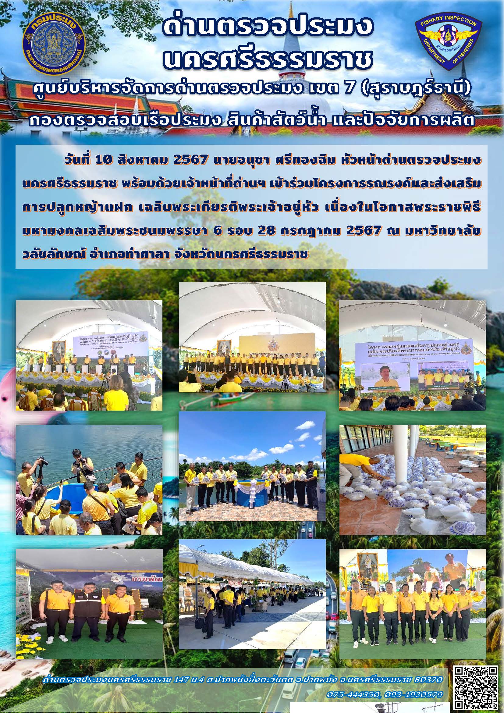 วันที่ 10 สิงหาคม 2567 นายอนุชา ศรีทองฉิม หัวหน้าด่านตรวจประมงนครศรีธรรมราช พร้อมด้วยเจ้าหน้าที่ด่านฯ เข้าร่วมโครงการรณรงค์และส่งเสริมการปลูกหญ้าแฝก เฉลิมพระเกียรติพระเจ้าอยู่หัว เนื่องในโอกาสพระราชพิธีมหามงคลเฉลิมพระชนมพรรษา 6 รอบ 28 กรกฎาคม 2567