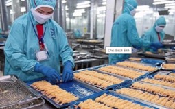 Fimex มียอดขายกว่า 95 ล้านดอลลาร์สหรัฐในครึ่งปีแรกของปี 2567