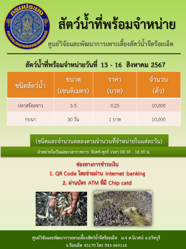 สัตว์น้ำพร้อมจำหน่าย ในระหว่างวันที่ 13 - 16 สิงหาคม 2567..คลิก