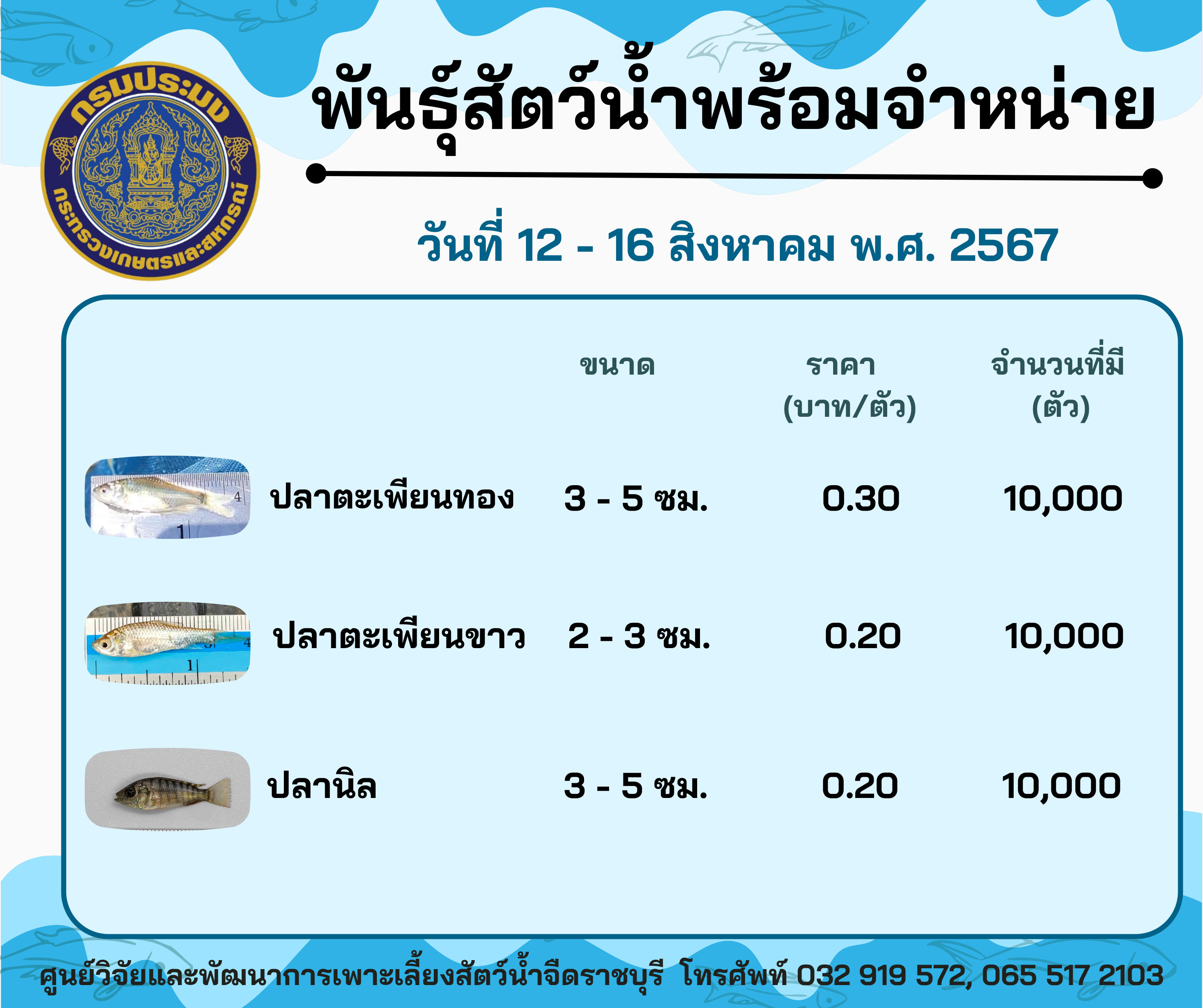 ลูกพันธุ์สัตว์น้ำพร้อมจำหน่ายสัปดาห์นี้ วันที่ 12 - 16 สิงหาคม พ.ศ. 2567..คลิก