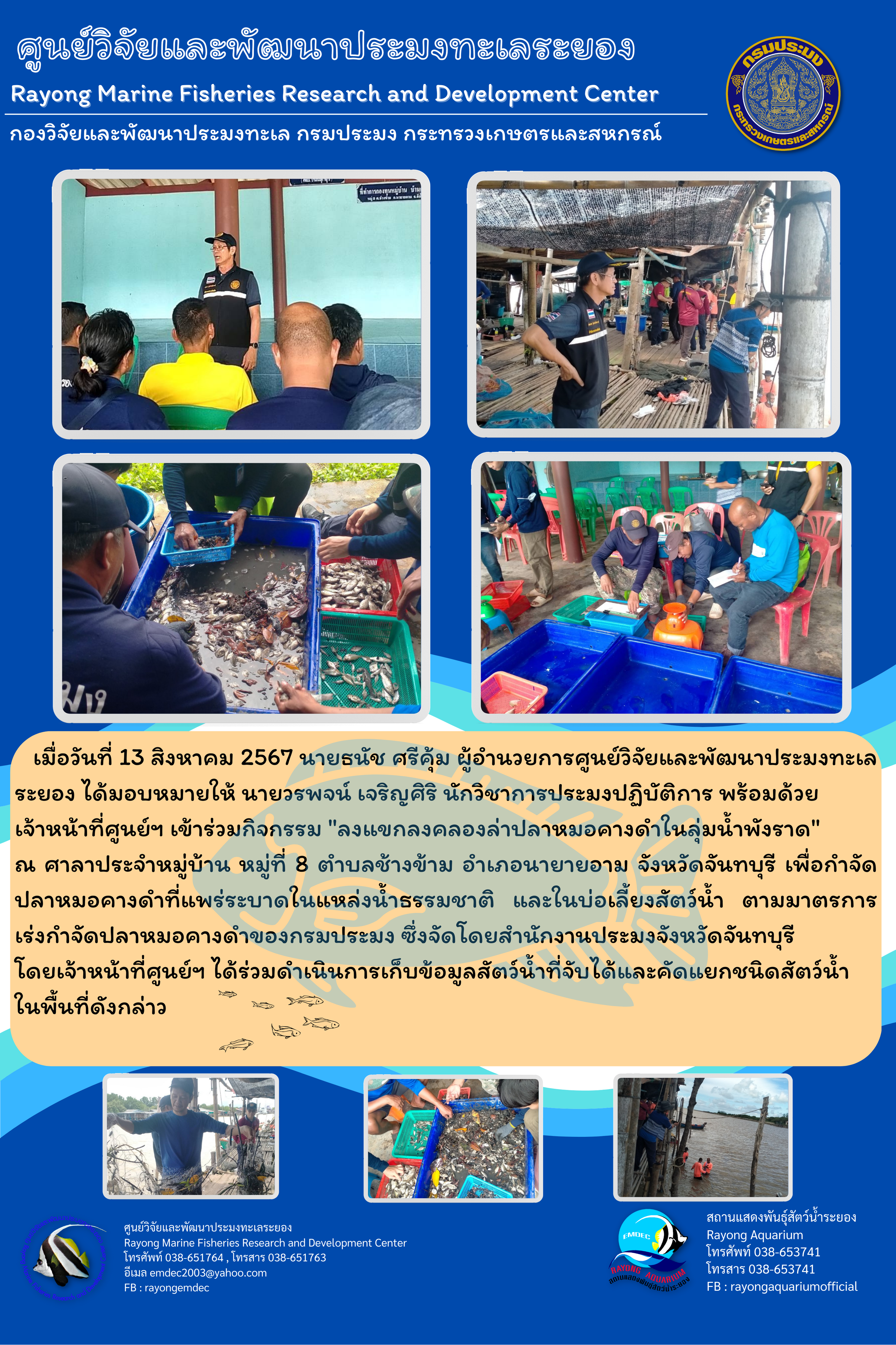 ลงแขกลงคลองล่าปลาหมอคางดำในลุ่มน้ำพังราด