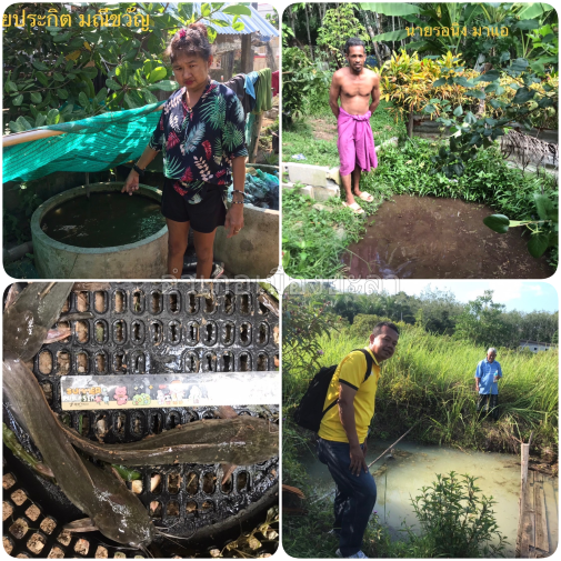 ผลการปฏิบัติงานประจำวันพฤหัสบดี ที่ 15 สิงหาคม 2567..คลิก