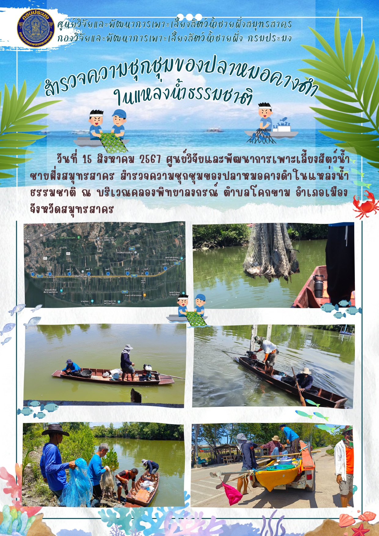 สำรวจความชุกชุมของปลาหมอคางดำในแหล่งน้ำธรรมชาติ..คลิก