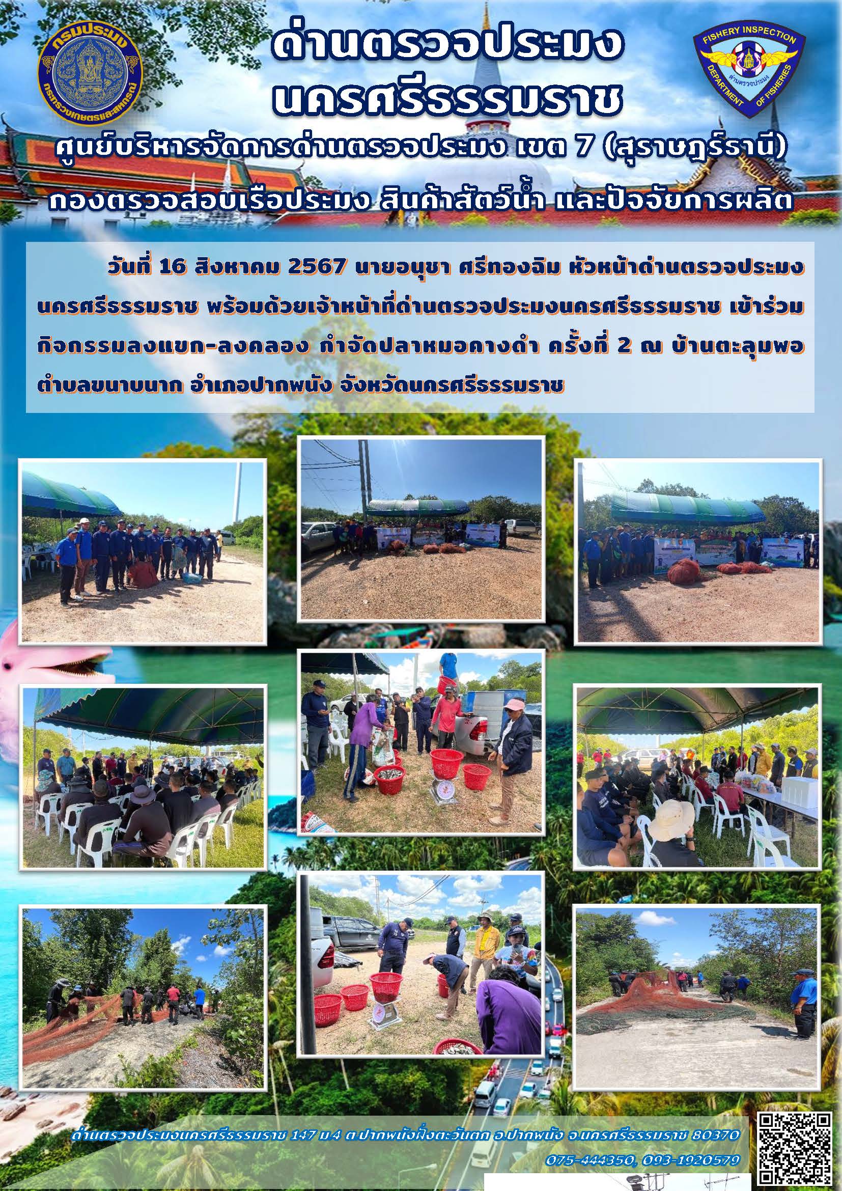 วันที่ 16 สิงหาคม 2567 นายอนุชา ศรีทองฉิม หัวหน้าด่านตรวจประมงนครศรีธรรมราช พร้อมด้วยเจ้าหน้าที่ด่านตรวจประมงนครศรีธรรมราช เข้าร่วมกิจกรรมลงแขก-ลงคลอง กำจัดปลาหมอคางดำ ครั้งที่ 2..คลิก