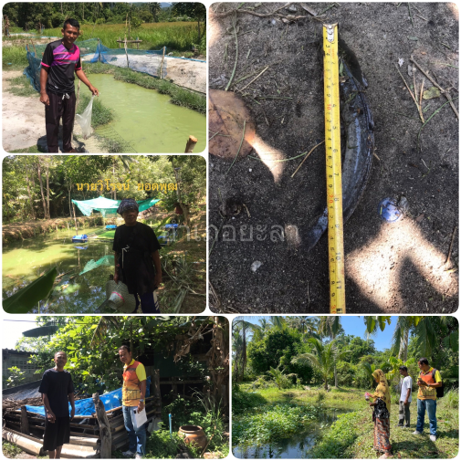 ผลการปฏิบัติงานประจำวันศุกร์ ที่ 16 สิงหาคม 2567