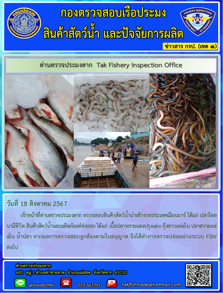 วันที่ 18 สิงหาคม 2567           เจ้าหน้าที่ด่านตรวจประมงตาก ตรวจสอบสินค้าสัตว์น้ำนำเข้าจากประเทศเมียนมาร์ ได้แก่ ปลาไหลนามีชีวิต สินค้าสัตว์น้ำและผลิตภัณฑ์ส่งออก ได้แก่ เนื้อปลาทรายแดงปรุงแต่ง กุ้งขาวแช่เย็น ปลาสวายแช่เย็น น้ำปลา จากผลการตรวจสอบถูกต้องตามใบอนุญาต จึงได้ทำการตรวจปล่อยผ่านระบบ FSW ต่อไป..คลิก