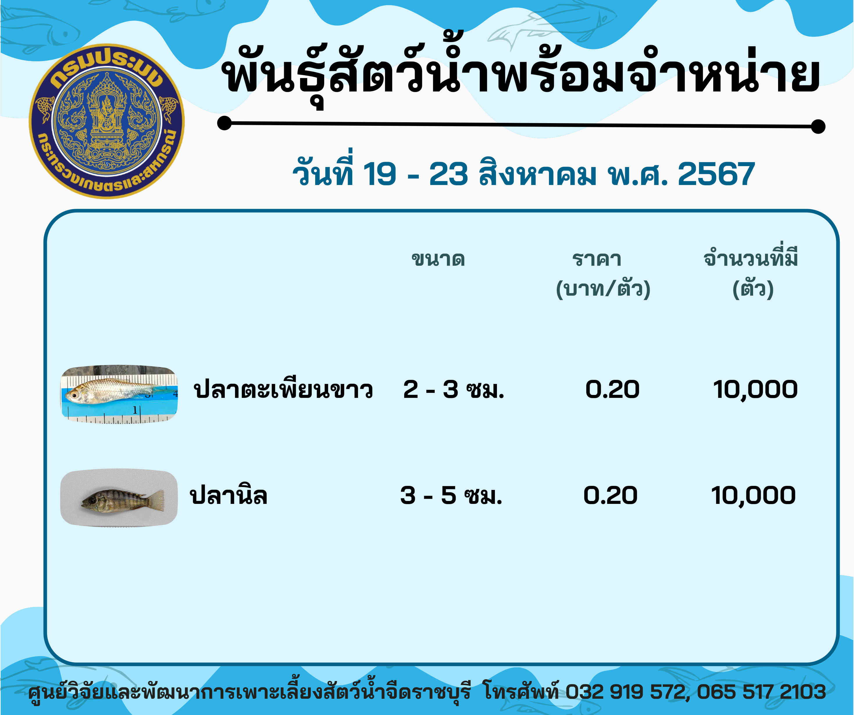 ลูกพันธุ์สัตว์น้ำพร้อมจำหน่ายสัปดาห์นี้ วันที่ 19 - 23 สิงหาคม พ.ศ. 2567..คลิก