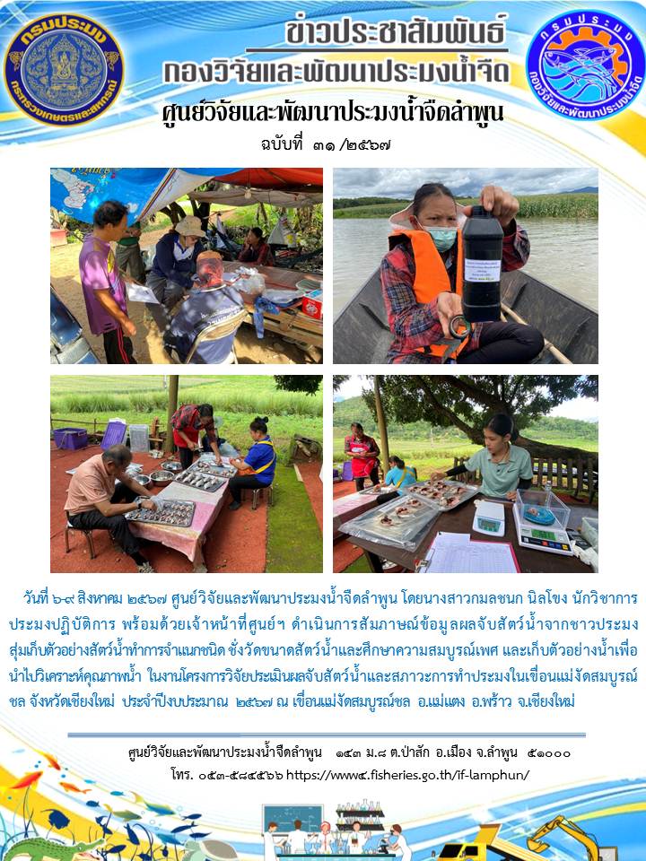 ศูนย์วิจัยและพัฒนาประมงน้ำจืดลำพูน โดยนางสาวกมลชนก นิลโขง นักวิชาการประมงปฏิบัติการ พร้อมด้วยเจ้าหน้าที่ศูนย์ฯ ดำเนินการสัมภาษณ์ข้อมูลผลจับสัตว์น้ำจากชาวประมง สุ่มเก็บตัวอย่างสัตว์น้ำทำการจำแนกชนิด ชั่งวัดขนาดสัตว์น้ำและศึกษาความสมบูรณ์เพศ และเก็บตัวอย่างน้ำเพื่อนำไปวิเคราะห์คุณภาพน้ำ ในงานโครงการวิจัยประเมินผลจับสัตว์น้ำและสภาวะการทำประมงในเขื่อนแม่งัดสมบูรณ์ชล จังหวัดเชียงใหม่ ประจำปีงบประมาณ 2567 ณ เขื่อนแม่งัดสมบูรณ์ชล อ.แม่แตง อ.พร้าว จ.เชียงใหม่..คลิก