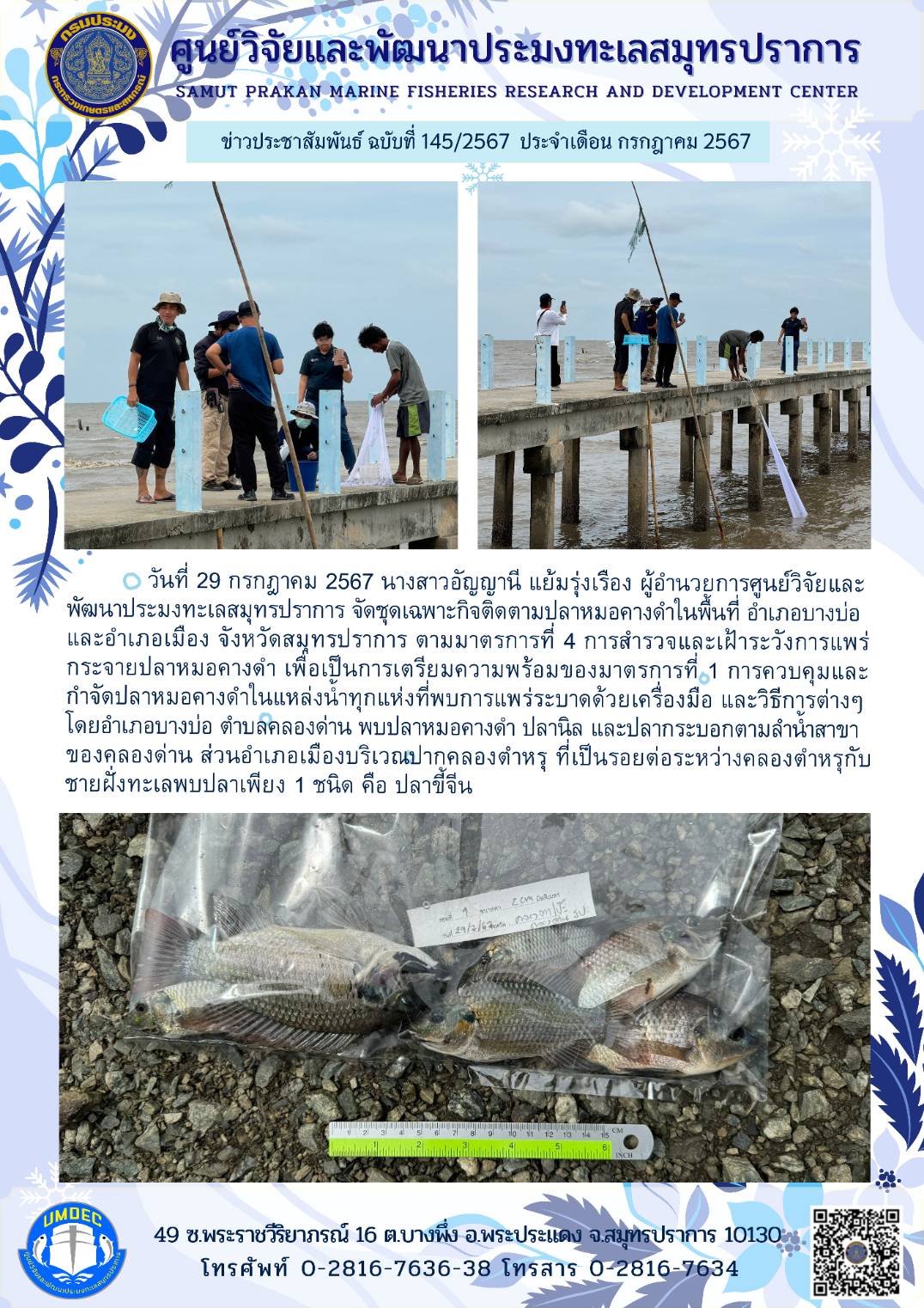 วันที่ 29 กรกฎาคม 2567 นางสาวอัญญานี แย้มรุ่งเรือง ผู้อำนวยการศูนย์วิจัยและ พัฒนาประมงทะเลสมุทรปราการ จัดชุดเฉพาะกิจติดตามปลาหมอคางดำในพื้นที่ อำเภอบางบ่อและอำเภอเมือง จังหวัดสมุทรปราการ ตามมาตราที่ 4 การสำรวจและเฝ้าระวังการแพร่กระจายปลาหมอคางดำ เพื่อเป็นการเตรียมความพร้อมของมาตรการที่ 1 การควบคุมและกำจัดปลาหมอคางดำในแหล่งน้ำทุกแห่งที่พบการแพร่ระบาดด้วยเครื่องมือ ฯลฯ