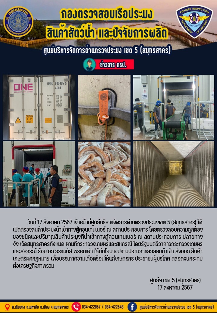 วันที่ 17 สิงหาคม 2567 เจ้าหน้าที่ศูนย์บริหารจัดการด่านตรวจประมงเขต5 (สมุทรสาคร) ได้เปิดตรวจสินค้าประมงนำเข้าทางตู้คอนเทนเนอร์ ณ สถานประกอบการ..คลิก
