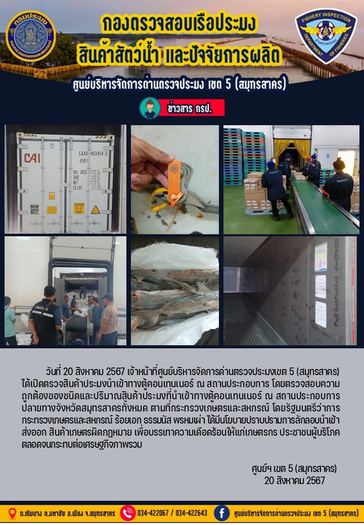 วันที่ 20 สิงหาคม 2567 เจ้าหน้าที่ศูนย์บริหารจัดการด่านตรวจประมงเขต5 (สมุทรสาคร) ได้เปิดตรวจสินค้าประมงนำเข้าทางตู้คอนเทนเนอร์ ณ สถานประกอบการ..คลิก